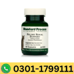 Standard Process Feline Renal Support